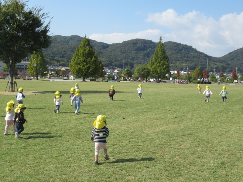 秋の遠足(1,2,3歳)の画像